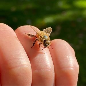 Meet your Posher, Kathleen